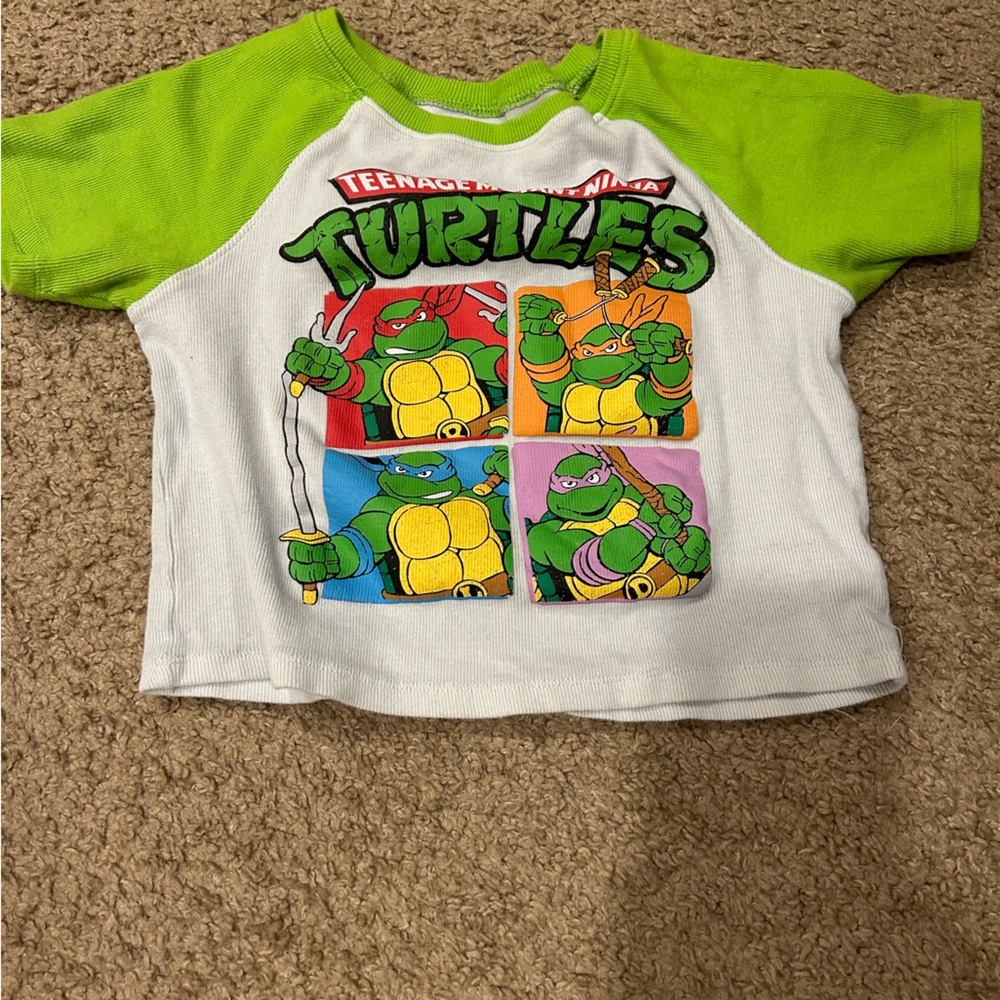 TMNT Crop Top